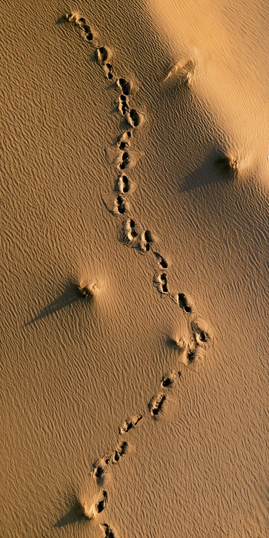 Top-down view of a single trail of bare footprints zigzagging across rippled amber dune sand, each impression throwing a small crescent of shadow. Late sun rakes the ripples in warm honey and rust, vertical drone framing with quiet solitude and graphic, minimal desert geometry.