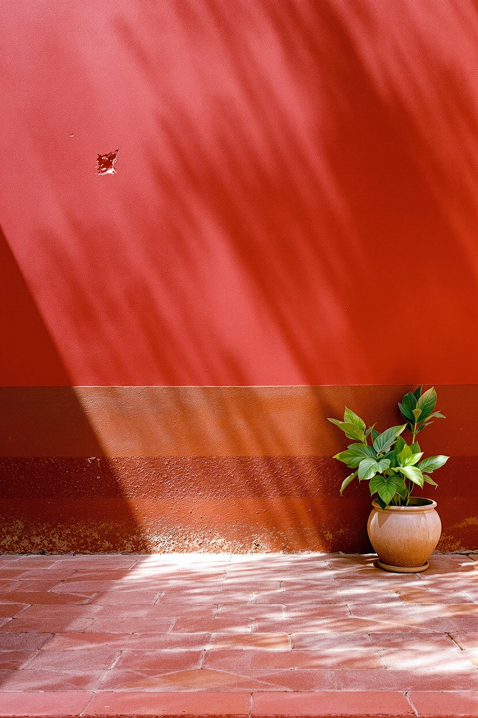 A blood-red Moroccan courtyard wall split by a horizontal weathered band of rust, palm-frond shadows fanning diagonally across the plaster. A small terracotta pot of glossy green leaves sits where wall meets brick-tiled floor. High-noon saturation, painterly minimalism, vermillion and clay palette.