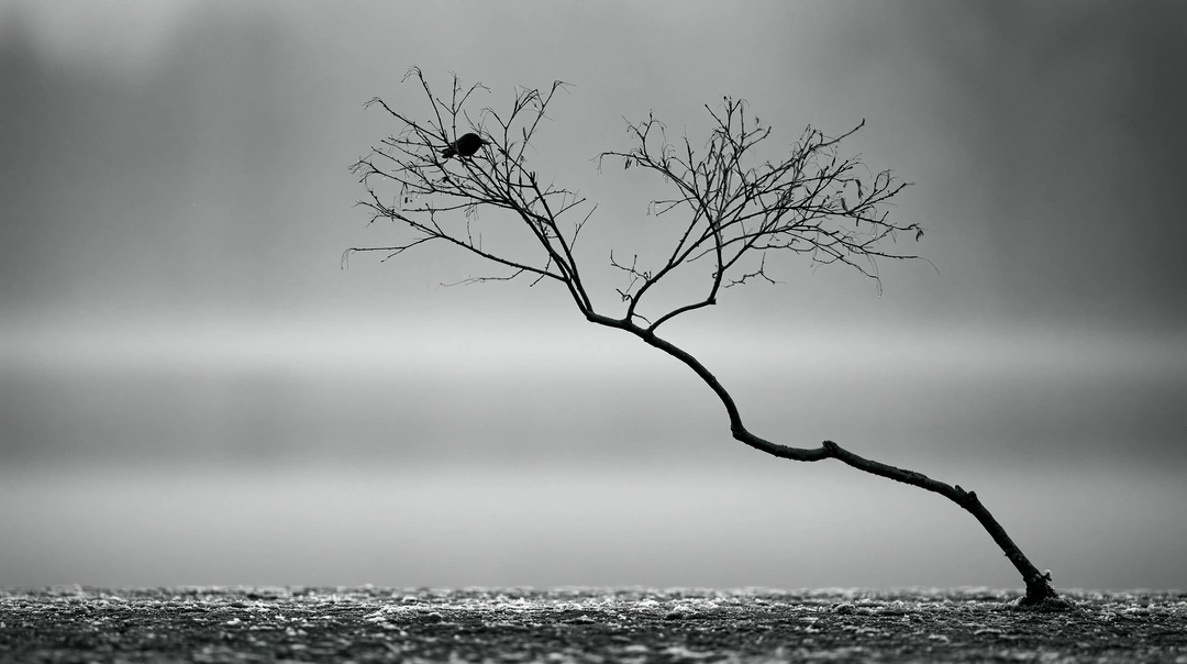 A single bare branch arcs out of frosted ground, one small dark bird perched on its tangle of leafless twigs, set against a gradient of pale fog and gunmetal sky. Negative space dominates, textures of frozen earth at the base. Minimalist monochrome wabi-sabi composition.
