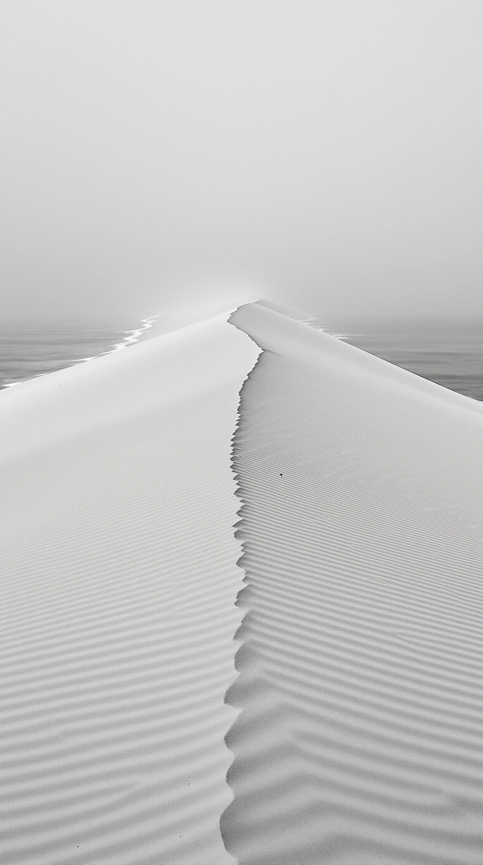 A serrated ridge of pale sand carves diagonally up the frame, fine wind-rippled striations on each flank. Behind the crest, a calm pewter ocean dissolves into soft dawn fog, almost monochrome. Near-abstract minimalism, gentle tonal gradations, large-format meditative stillness.