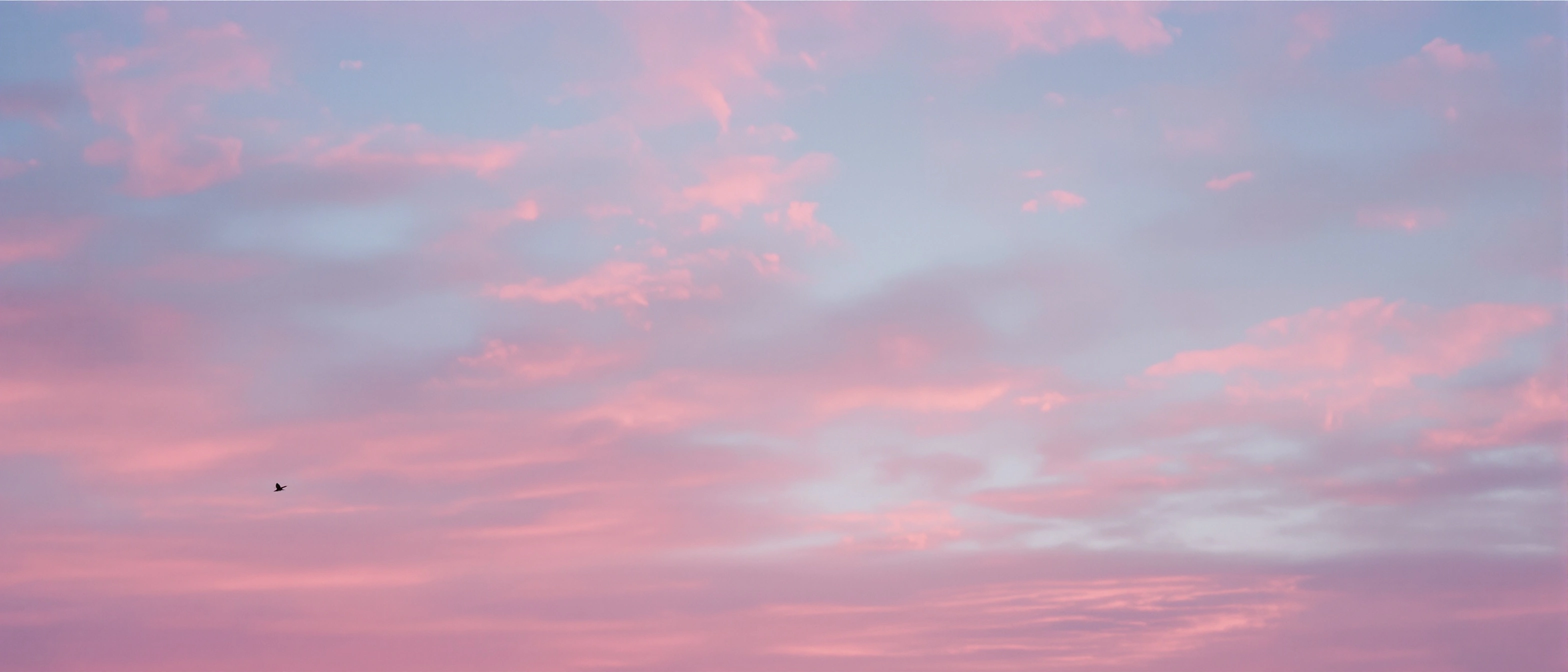 Wide panorama of dawn cloudscape, salmon and dusty-rose stratus brushed across a periwinkle sky, a single tiny bird silhouetted mid-flight at lower left. No horizon, no ground, only weightless atmosphere. Cotton-candy pastels, anamorphic letterbox, hushed cinematic openness.