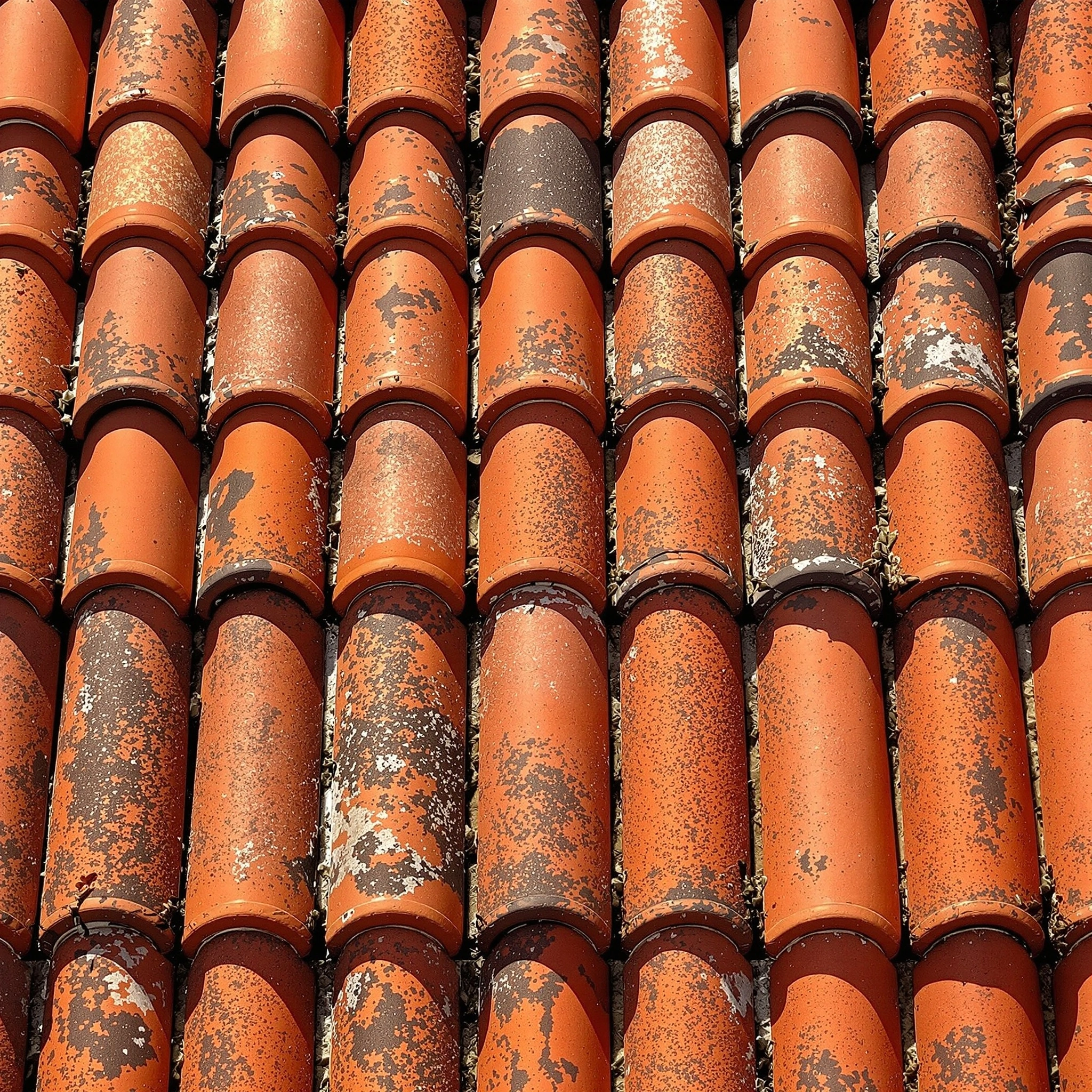 An overhead grid of half-pipe terracotta roof tiles fills the frame, each curve mottled with charcoal weathering and patches of pale lichen. Hard noon light rakes from the upper right, casting deep shadow channels between ridges. Square composition, abstract texture study, sun-baked Mediterranean palette.