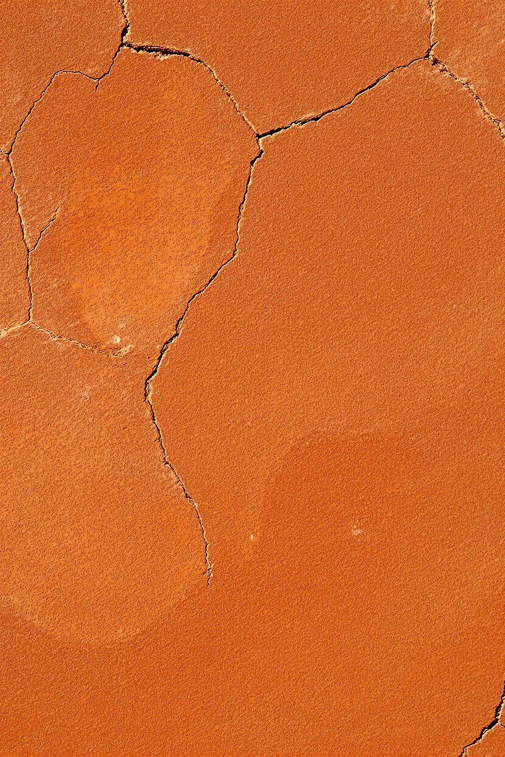 A flat section of sienna tadelakt wall, the burnished surface fractured into organic cell-like islands by fine dark cracks. Even, slightly raking light reveals subtle tonal shifts from deep terracotta to soft apricot across the plaster. Abstracted texture study, North African artisanal feel, painterly minimalism.